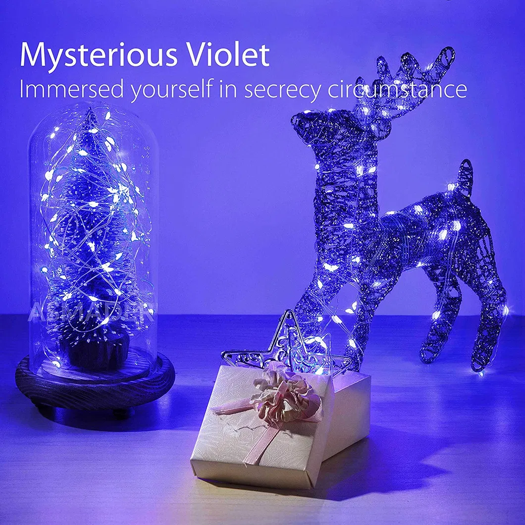 10m RGB 16 Colors USB 100 LED String Light Remote Control LED Strip Light for Garden Wedding Yard Christmas Decoration Light