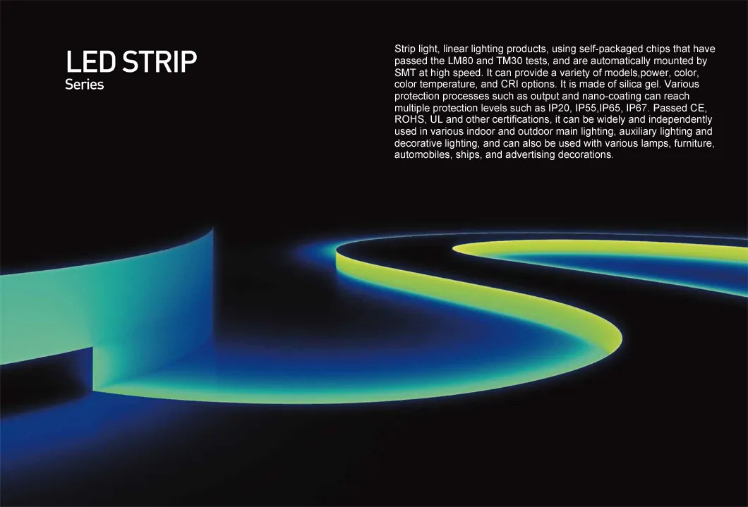 120 Degrees IP68 Magical Twinkle Strip High Voltage