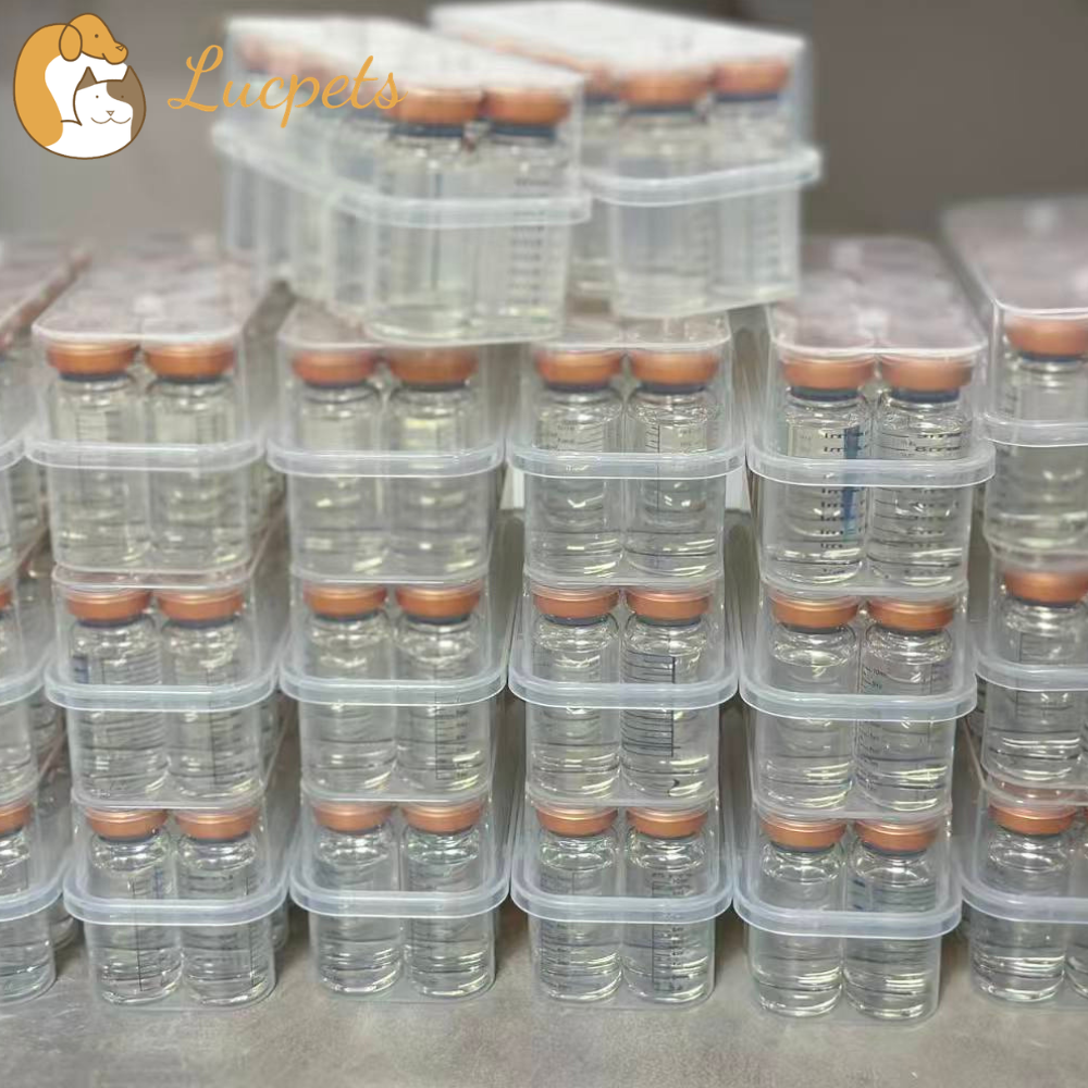 Feline GS-441524 Suppliers You Can Trust for Safe FIP Treatment