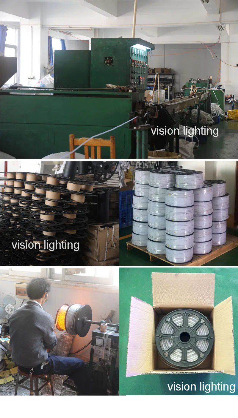 24V Thin White Color Christmas LED Rope Light