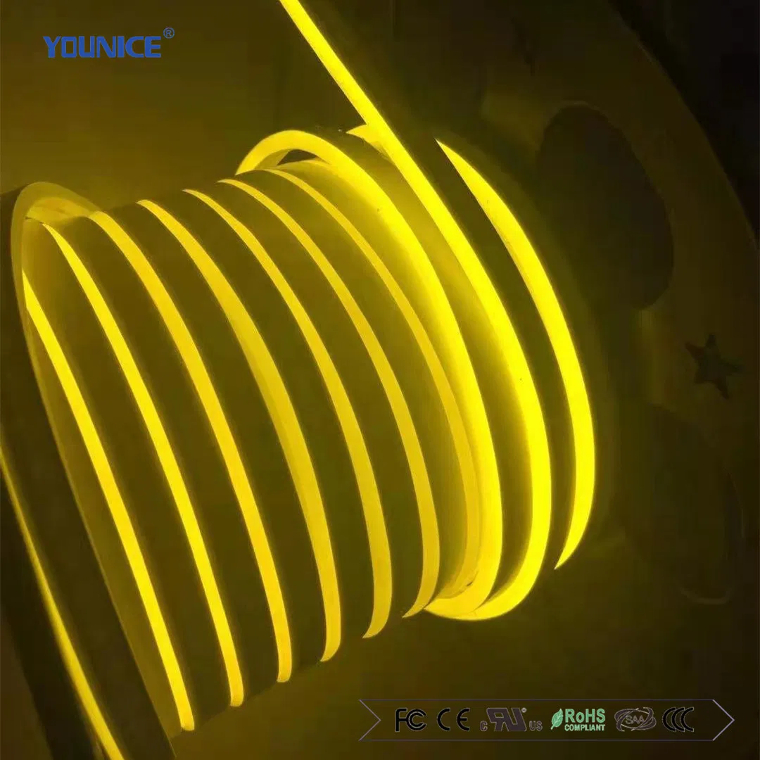 360 Degree Full Illumination Colorful 22diameter 15W/M LED Flexible Neon Strip