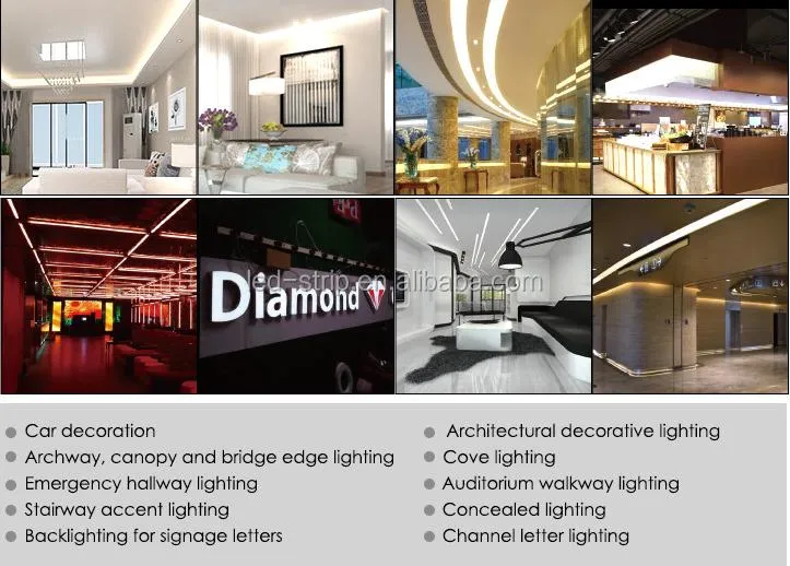 50LEDs Per Meter Flex LED Strips SMD2835 LED Strip 5m LED Tape Light 24V 2835 LED Strip