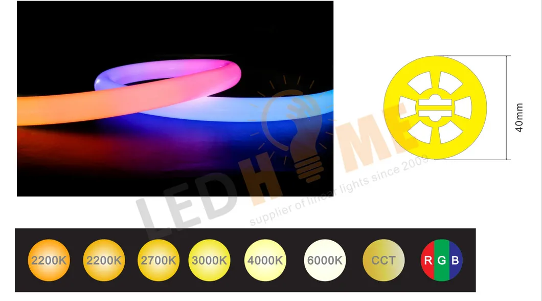 Bendable Neon Light Order Right Now Mask-Free