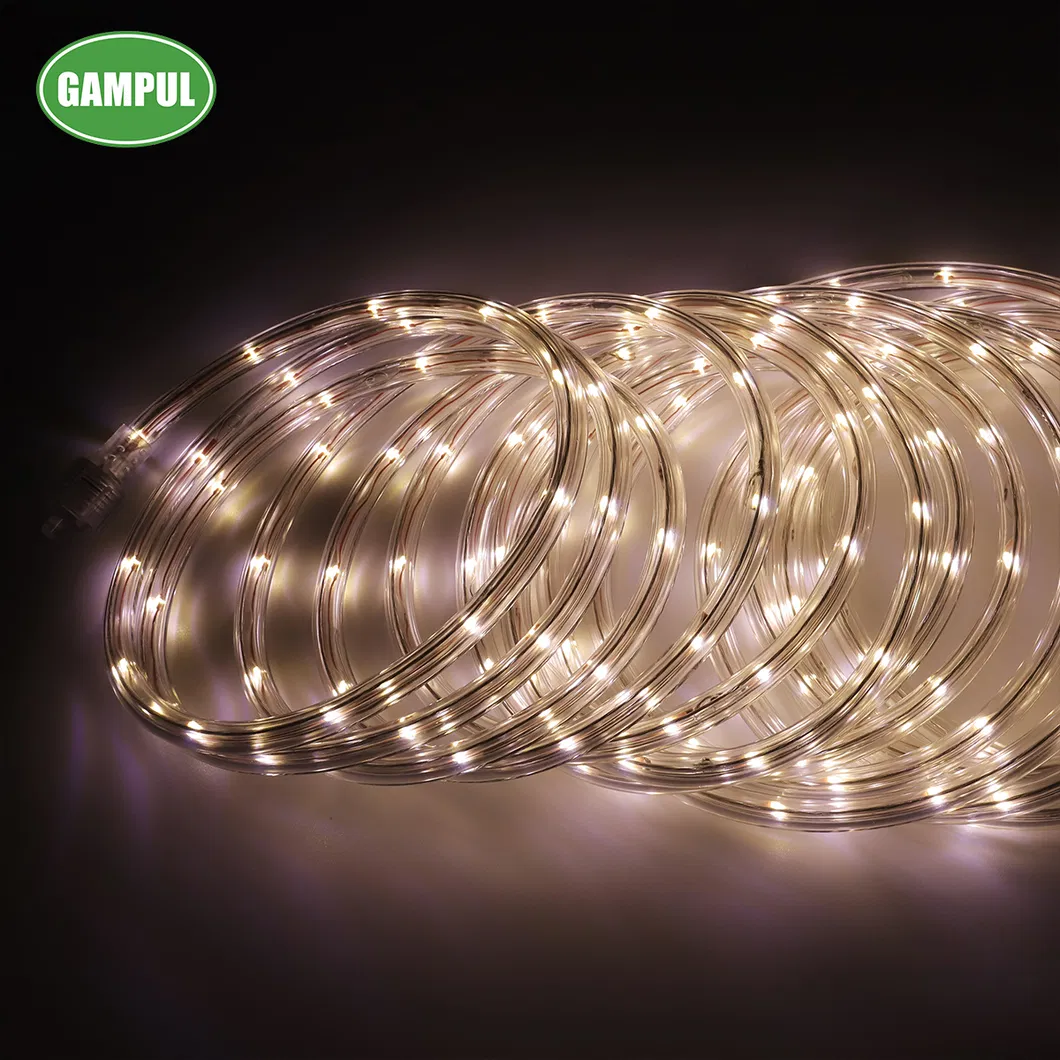 China Hot Sale 220V Waterproof Outdoor White Color Rope Lighting LED Rope Light