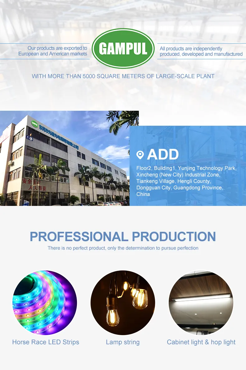 China Hot Sale 220V Waterproof Outdoor White Color Rope Lighting LED Rope Light