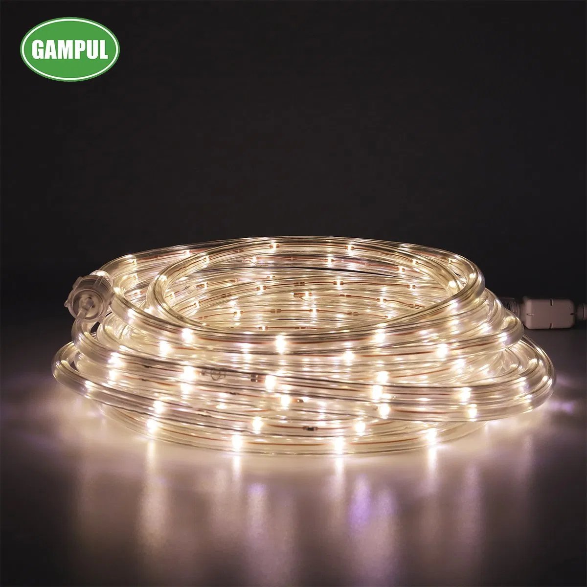 China Hot Sale 220V Waterproof Outdoor White Color Rope Lighting LED Rope Light