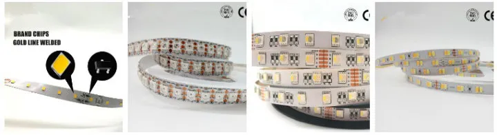 DC12V/24V SMD3014 PCB10mm Width Flexible LED Strip Light with 240LEDs/M