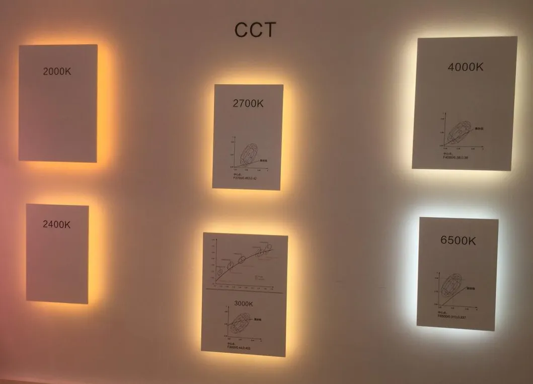 DC12V/24V SMD3014 PCB10mm Width Flexible LED Strip Light with 240LEDs/M