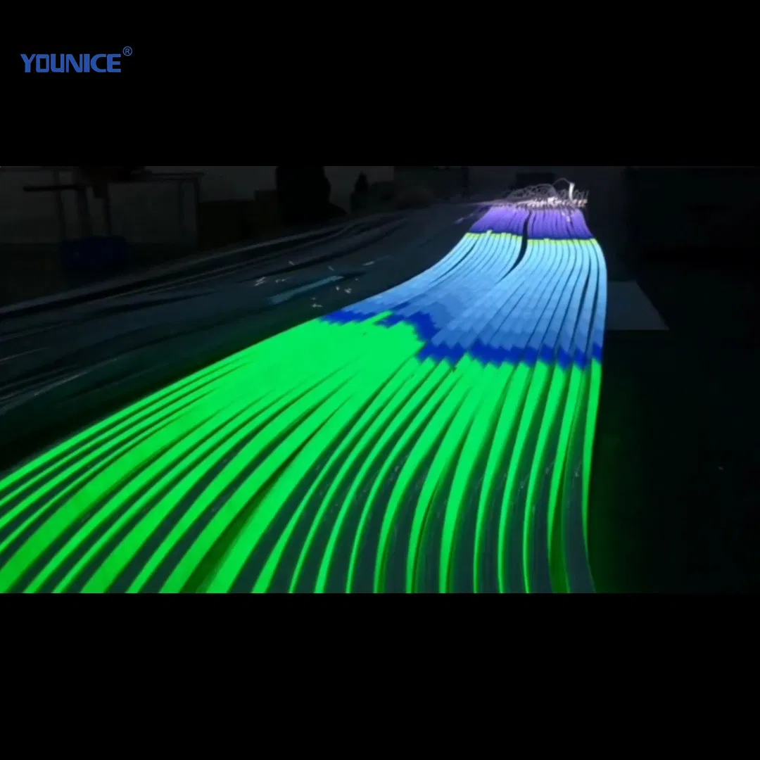 Digital 5050 DC 24V DMX512 RGBW Addressable LED Neon Strip