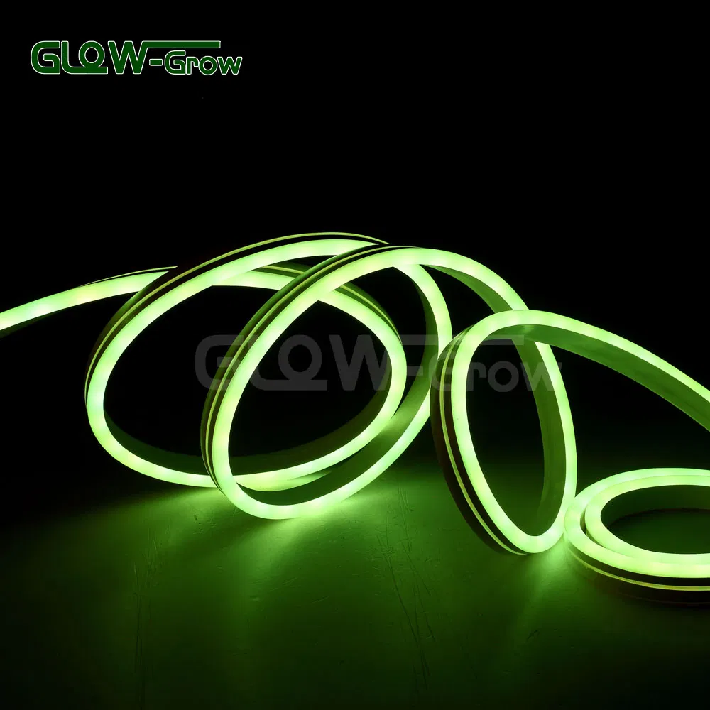 Dimmable Multi-Color Christmas Use 5050 48LEDs /M Low Voltage LED Strip Light RGB Neon Rope Light