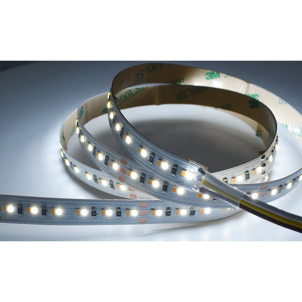 Double Colors CCT SMD 2835 Warm/Cool White Adjustable 168LEDs LED Strip Light CCT