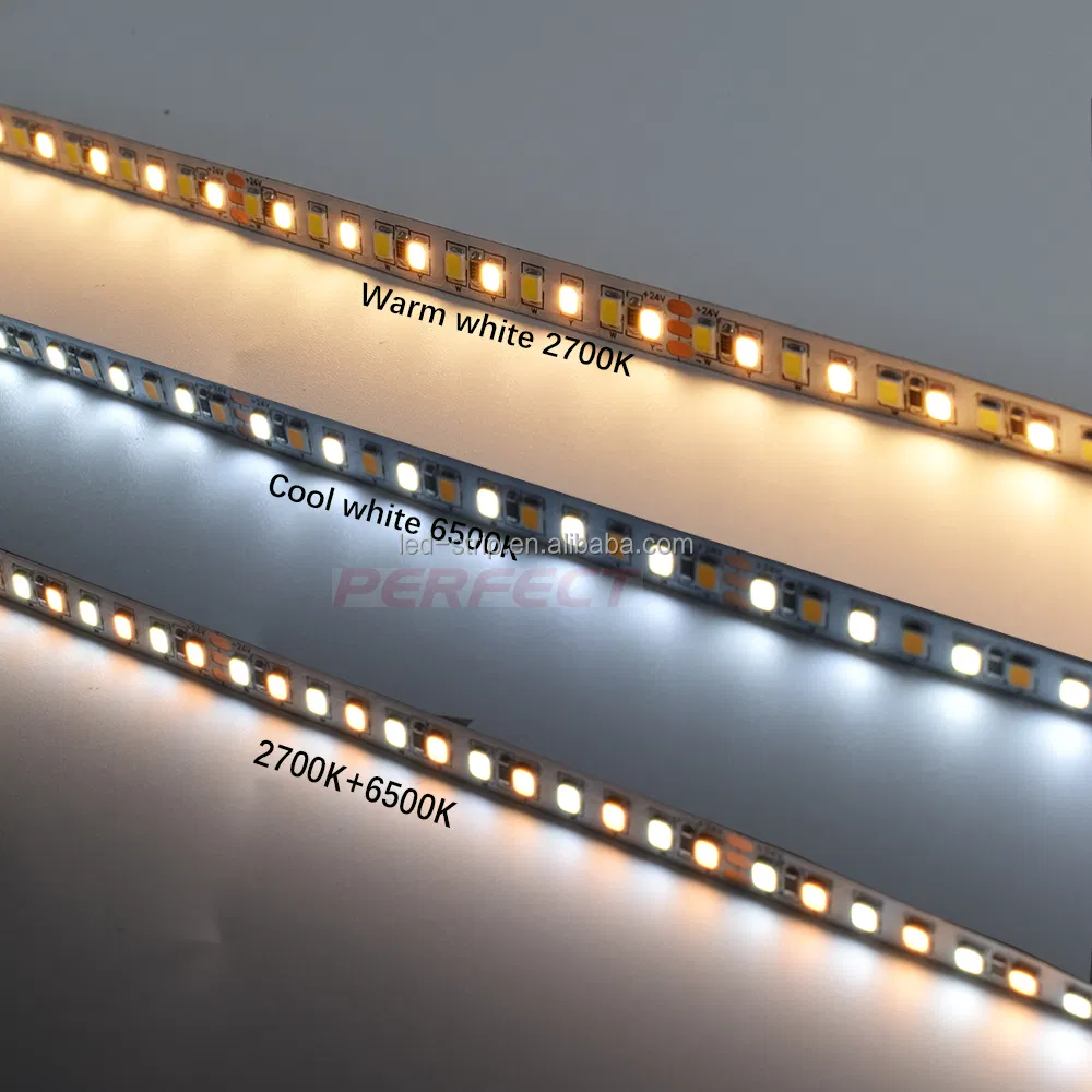 Flexible Strip 3000K 6000K IP20 12/24V 8mm Changeable CCT 168LED Double Color 2835 LED Strip