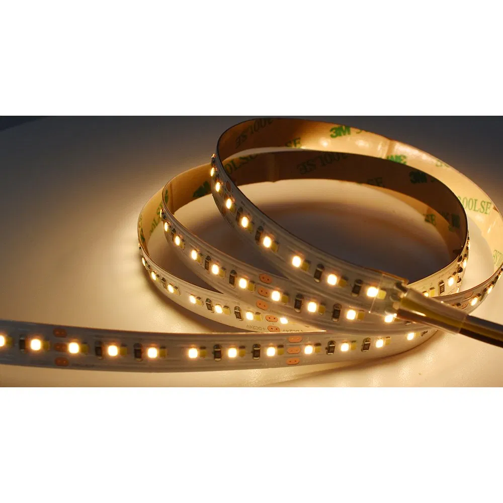 Flexible Strip 3000K 6000K IP20 12/24V 8mm Changeable CCT 168LED Double Color 2835 LED Strip