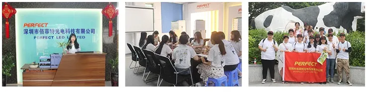 Flexible Strip 3000K 6000K IP20 12/24V 8mm Changeable CCT 168LED Double Color 2835 LED Strip