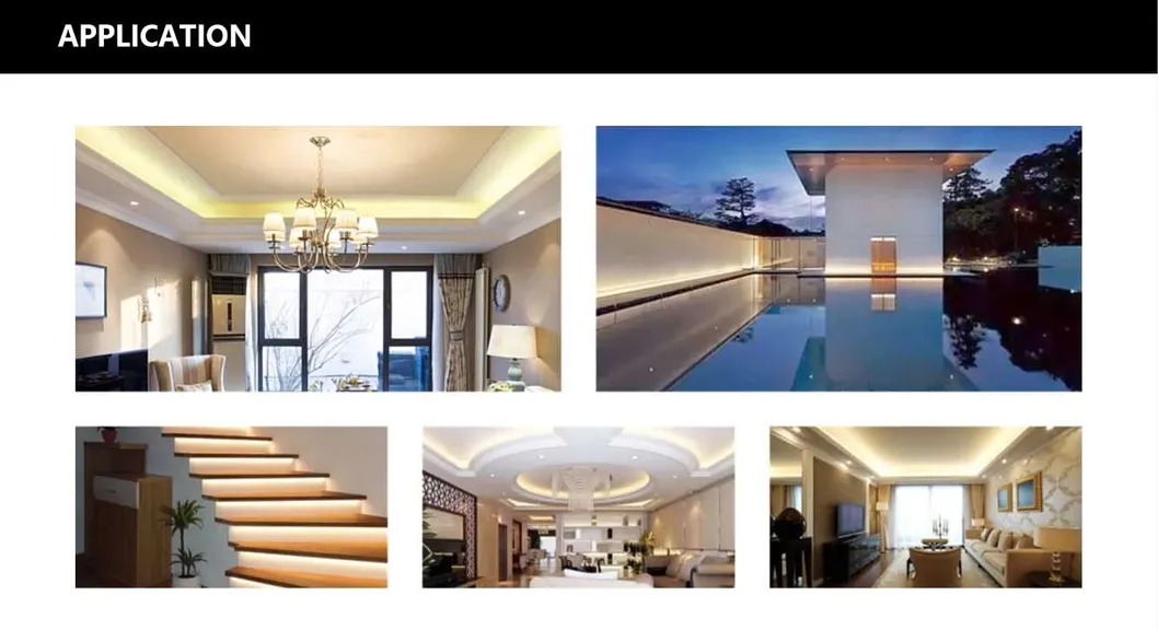 Full Spectrum High Power Adjustable LED Panel Tri-Proof Light High Bay Linear High Bay Flexible Strip Light 300W/400W/600W/700W/800W/900W/1000W LED Grow light