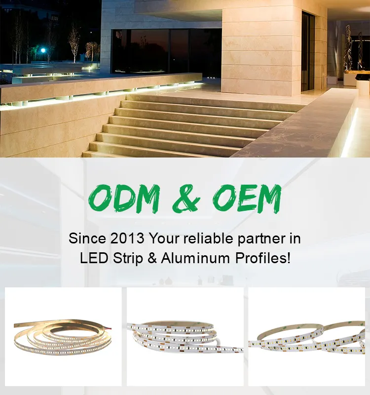 High Luminous DC 24V High CRI 95 IP68 Waterproof LED Strip 2216 420LEDs