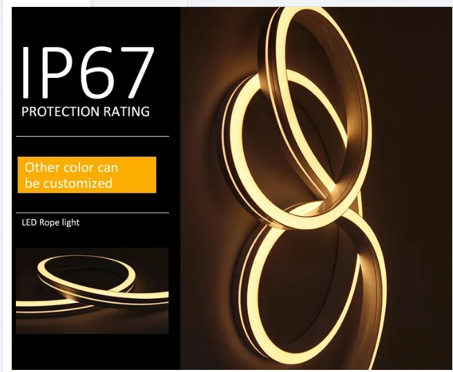 IP67 24V 12V DC Custom Neon Sign LED Neon Flex with Ce RoHS Approval