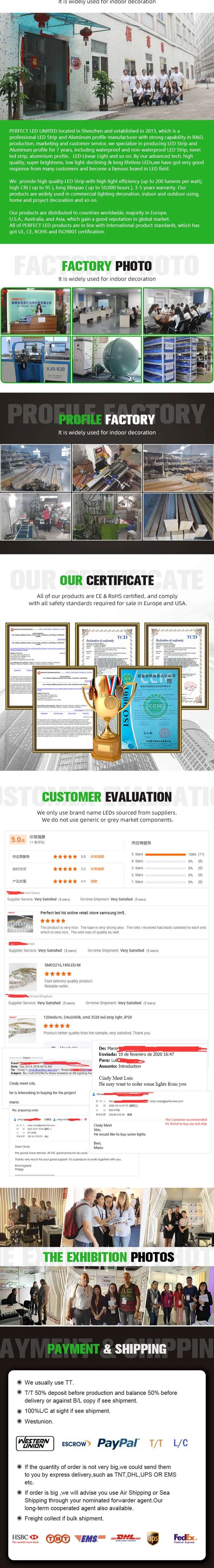 LED Sheet 420 LED/Sheet Green Color High-End PU Gel Coating IP50 Waterproof Flexible LED Light Sheet