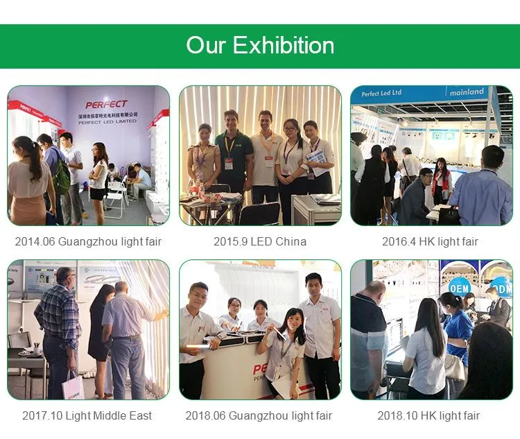 Market Trend 2835 High Bright Flexible SMD LED Strip Light