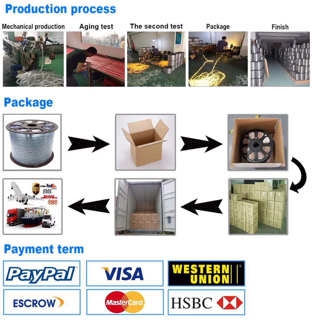 Outdoor New Fancy Two Wire Rope Light IC Lamp with Twinkle Chos Strobe Effect for Christmas Decoration