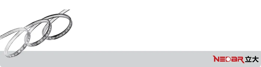 Outdoor Party Lighting Portable 25m Reel ETL Ce RoHS LED 120V SMD2835-60p Strip Light Cinta LED Rope Light