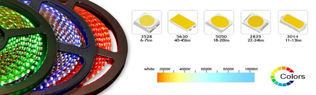 Quality Everlight 5050 RGB Flexible LED Strip