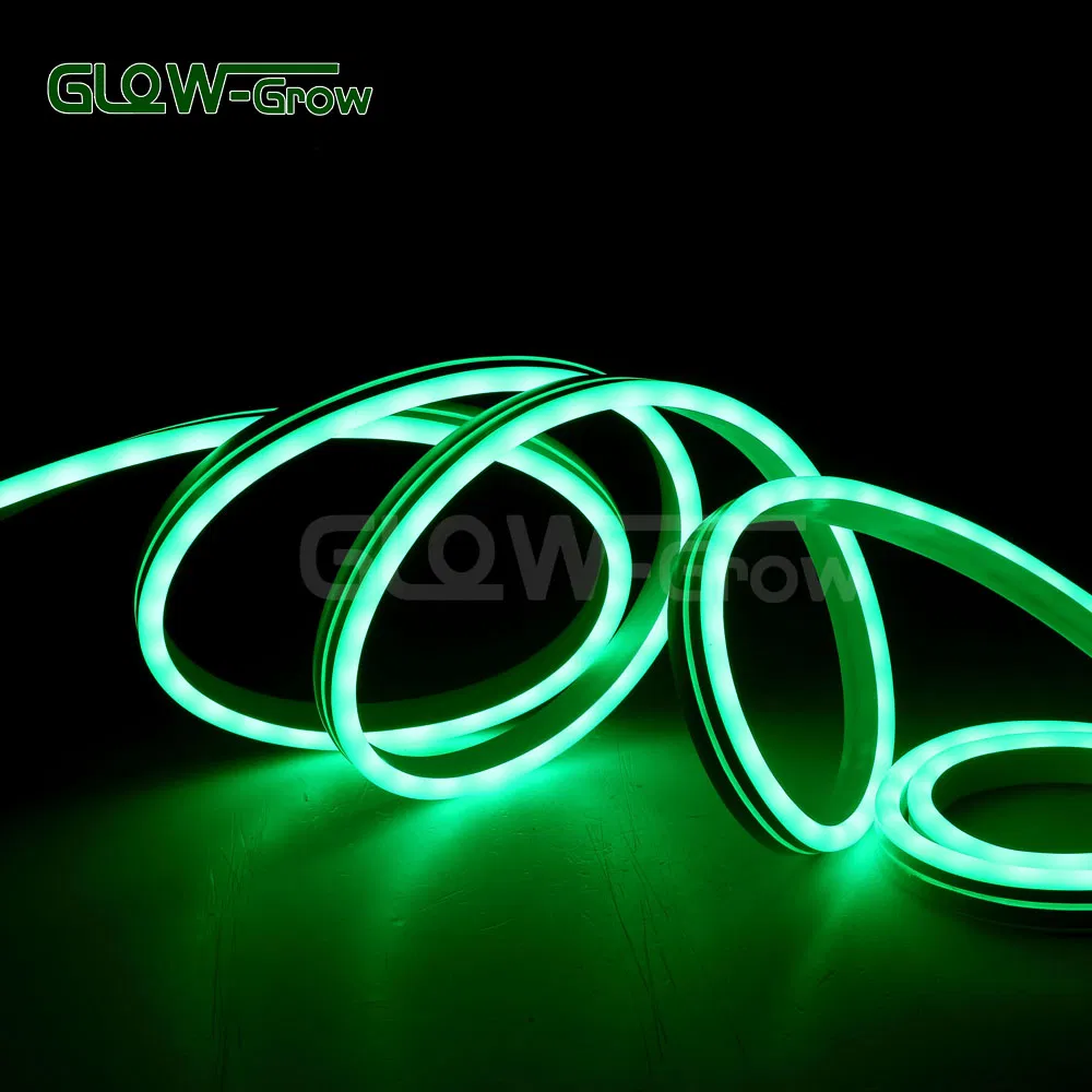 RoHS Approval Christmas Use 5050 48LEDs /M LED RGB Neon Rope Light