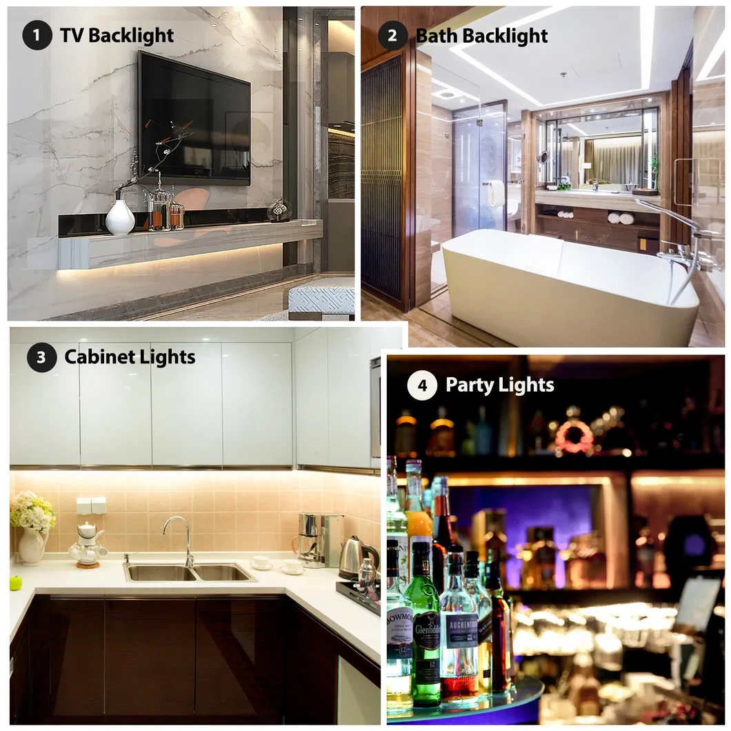 Silicone Coating DC 24V 5 in 1 SMD 5050 LED Strip with Red 3m Tape