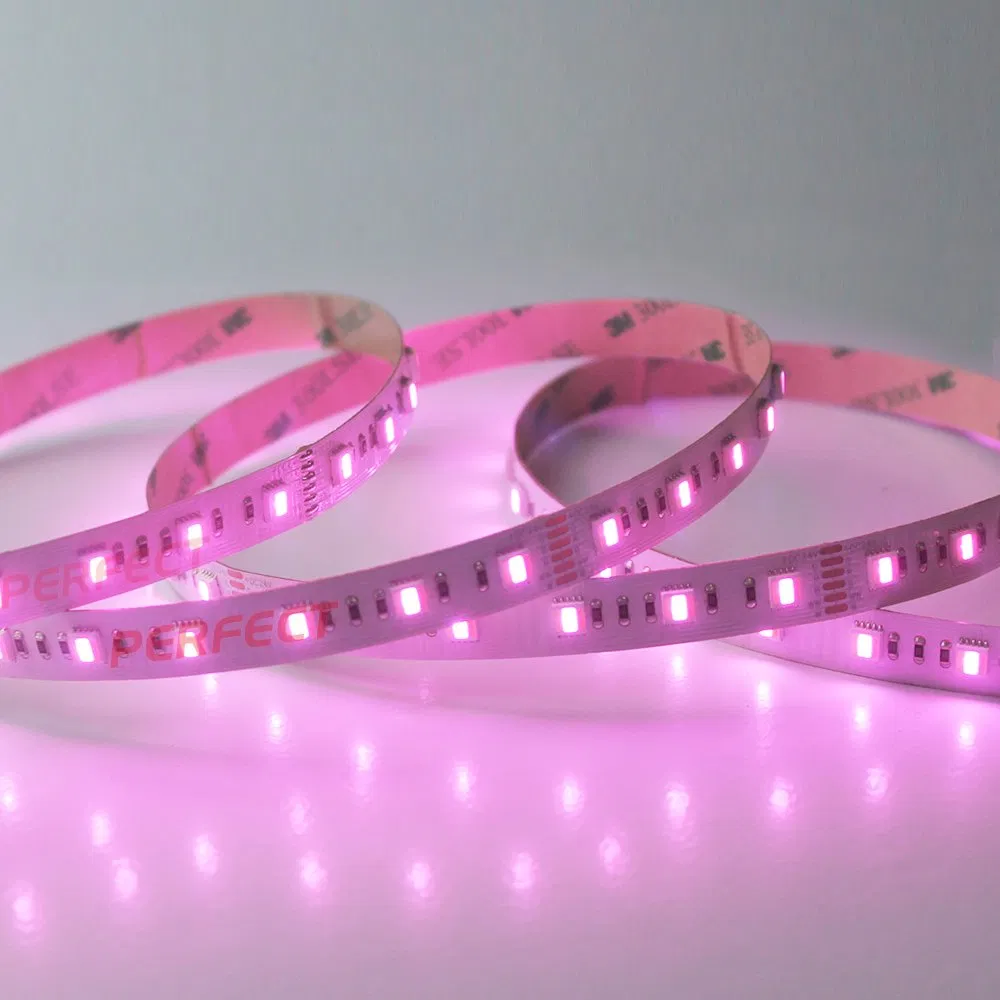 Silicone Coating DC 24V 5 in 1 SMD 5050 LED Strip with Red 3m Tape