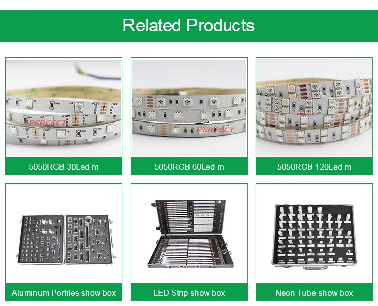 Silicone Coating DC 24V 5 in 1 SMD 5050 LED Strip with Red 3m Tape